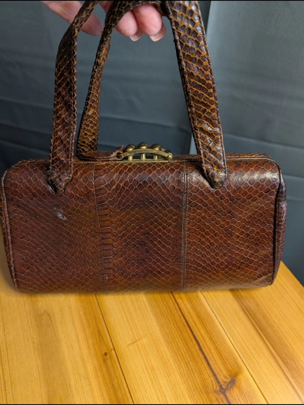 Vintage Ronay Genuine Snakeskin Reptile Leather Handbag Brass Hardware